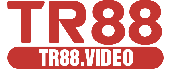 dtr888.com